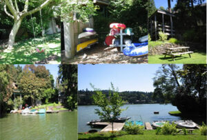 Springbrook easement collage